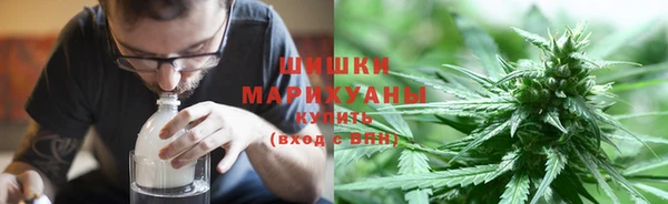 крисы Аркадак