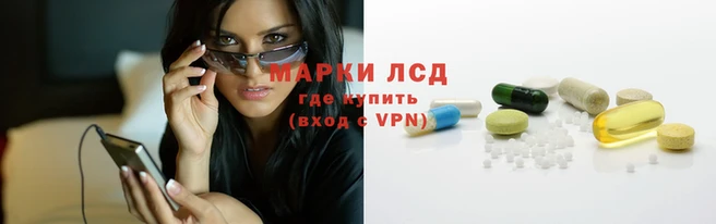 крисы Аркадак
