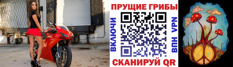 Галлюциногенные грибы Cubensis  сколько стоит  Бирюч 
